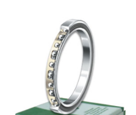 INA CSCG080 bearings